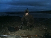 Robin Lambert wildfowling at Nigg Bay