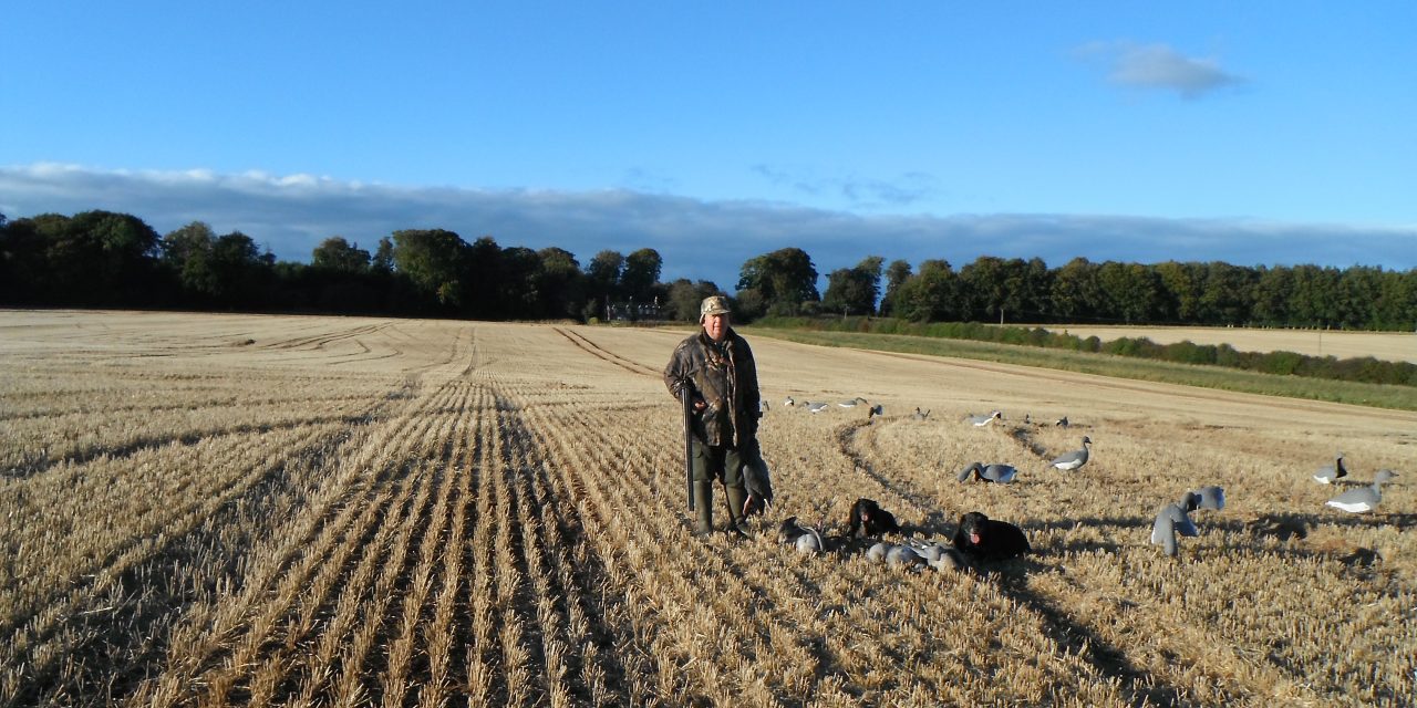 Goose Shooting in The Scottish Borders